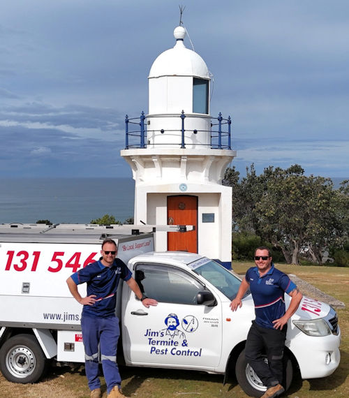 Pest Control Ballina